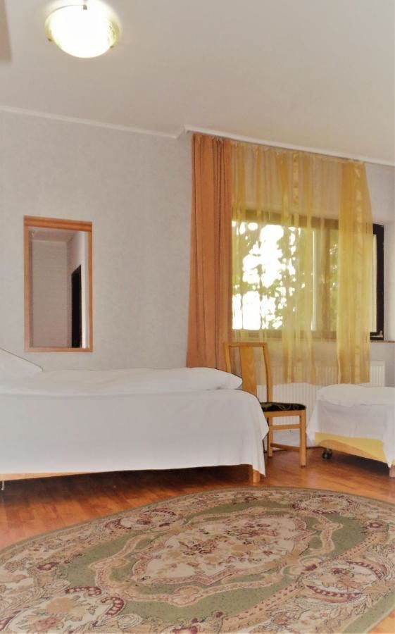 Отель Hotel Sonne Сибиу