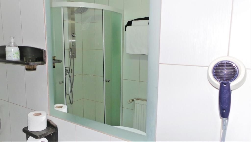 Отель Hotel Sonne Сибиу