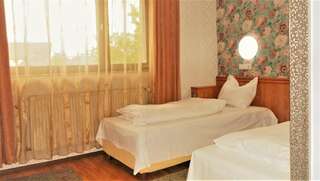 Отель Hotel Sonne Сибиу Двухместный номер с 2 отдельными кроватями-39