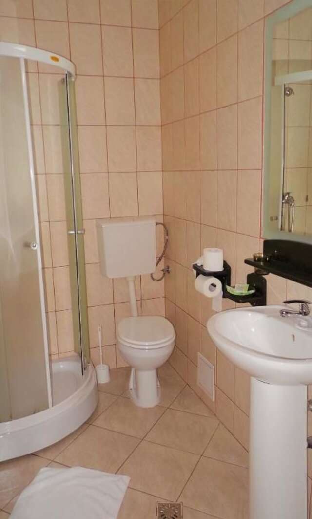Отель Hotel Sonne Сибиу-74